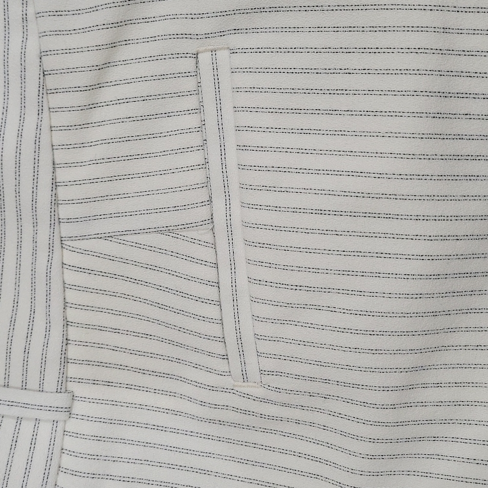 Banana Republic Pinstripe Shorts Size 2 - Picture 6 of 7